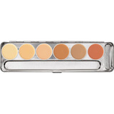 Kryolan Dermacolor Camouflage Creme 6 Cores 20g Cor Bp4