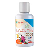 L carnitina C Coq10 2000mg Life Sense Nutrition Sabor Açaí Com Guaraná