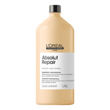 L oreal Professionnel Absolut