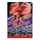 Labirinto De Paixoes