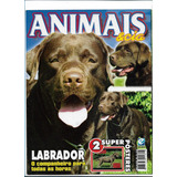 Labrador Revista Pôster Animais E Cia