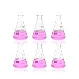 Labvida 6 Unidades De Frascos Erlenmeyer De Vidro De Boca Estreita- Vol- 250Ml- 3-3 Borocilicato Com Graduação Impressa- Lvc006