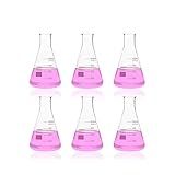 Labvida 6Pcs De Frascos Erlenmeyer De Vidro De Boca Estreita- Vol-500Ml- 3-3 Borocilicato Com Graduação Impressa- Lvc007