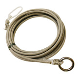 Cavalo