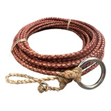Cavalo