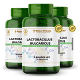 Lactobacillus Bulgaricus 5 Bilhoes