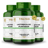 Lactobacillus Plantarum 5 Bilhoes