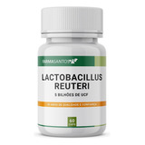 Lactobacillus Reuteri 5 Bilhoes