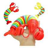 Lagosta Fidget Slug Desmonta E Monta Sensorial Bebe Colorida