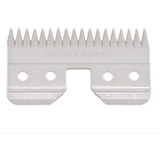 18dentes