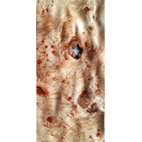 Lamina De Pioppo Radica