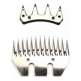 Dentes