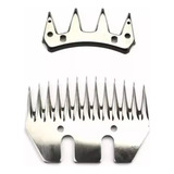 Dentes