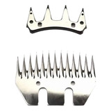 Dentes