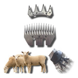 Lâminas Para Tosquiadeira Ovinos Oster Shearmaster