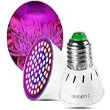 Lâmpada 5W Para Plantas De Led Vai Ajudar Suas Plantas Se Desenvolverem Rápido