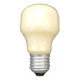 Lâmpada Anti Inseto Incandescente Bulbo 60w 220v philips 5x