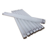 Lâmpada Bl 15w T8 Uv a Armadilha Luminosa Mosca Moran 6unid