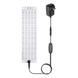Lampada De Crescimento Em