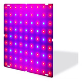 Led