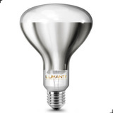Lâmpada De Secagem 250w P Estufa Uso Geral E 27 220v Cor Da Luz Branco Quente Infra Vermelho