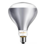 Lâmpada De Secagem Infravermelho Aquecimento 250w 220v Luz Branco quente