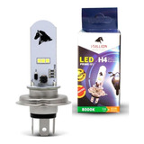 Lampada Farol Led H4