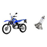 Lâmpada Farol Moto Yamaha Xtz 250 Lander Philips H7 100 luz