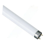 Lâmpada Fluorescente 20w T10 5000k Sylvania kit C 2 Pçs 