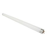 Lâmpada Fluorescente Luz Negra 15 Watts Luz Negra Uv a 15 W