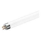 220v