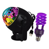 Lâmpada Globo Led Profissional E Lâmpada Neon Festas Eventos