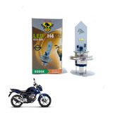 Lampada H4 Eco Branca