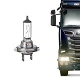 Lâmpada Halógena Transparente Para Caminhões Encaixe H7 OSRAM Linha Truckstar 64215 Pro 24v 70w