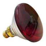 Lâmpada Infraphil Par 38 150w 125 130v E27 Philips