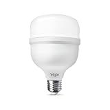 Lâmpada LED 20w Super Bulbo 6500k Elgin Bivolt Luz Branca Fria