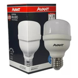 Lampada Led Bulbo 20w