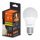 Lampada Led Bulbo Dim