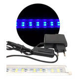 Lampada Led Super Blue