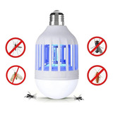 Led