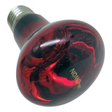 Lâmpada Nomoypet Nd21 100w Noturna Infravermelho Aquecimento