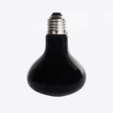 110v
