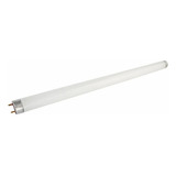 Lampada P Negatoscopio F15t8cw Fluorescente 15w T8 Kit C 2