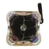 Lampada P  Projetor Nec Vt75lp Vt470 Vt670 Vt675 Vt676 Lt280