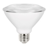 Lampada Par30 Led 9w