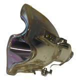 Lampada Projetor Infocus Lp540