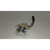 Lampada Projetor Sanyo Plc wxu30 Plc wxu700 180dias Garantia