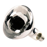 Lampada Secagem Infravermelha 250w
