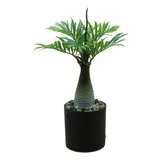 Lampada T Simulation Palm