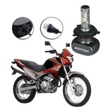 Lampada Ultraled Shocklight Moto
